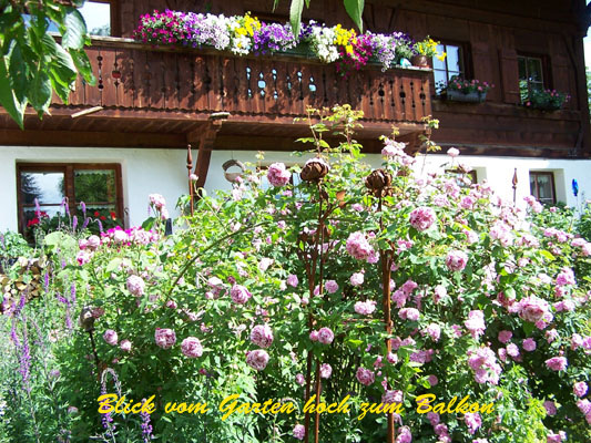 3 Garten Blick zum Balkon klein Kopie